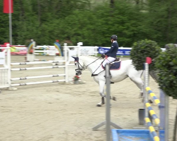 Reitturnier Isny-Rohrdorf 2019