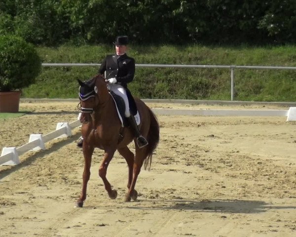 Reitturnier Ladenburg 2019