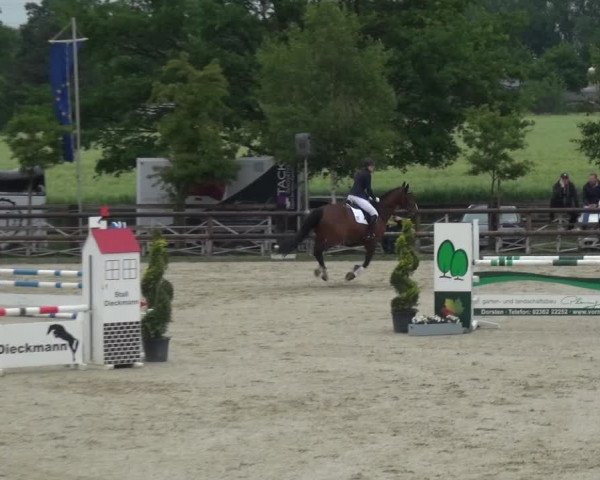 Reitturnier Kirchhellen/Stall Dieckmann 2019