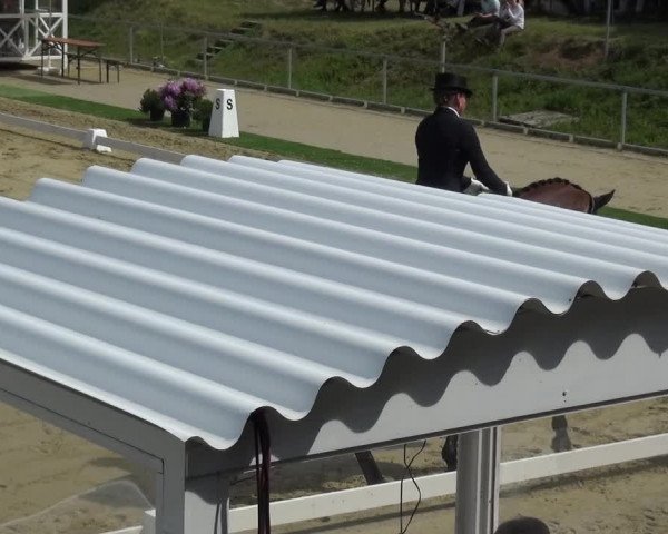 Reitturnier Ladenburg 2019