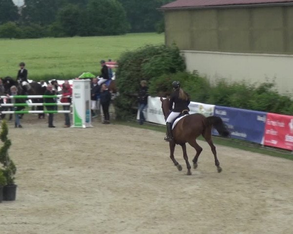 Reitturnier Kirchhellen/Stall Dieckmann 2019