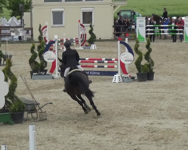 Reitturnier Kirchhellen/Stall Dieckmann 2019