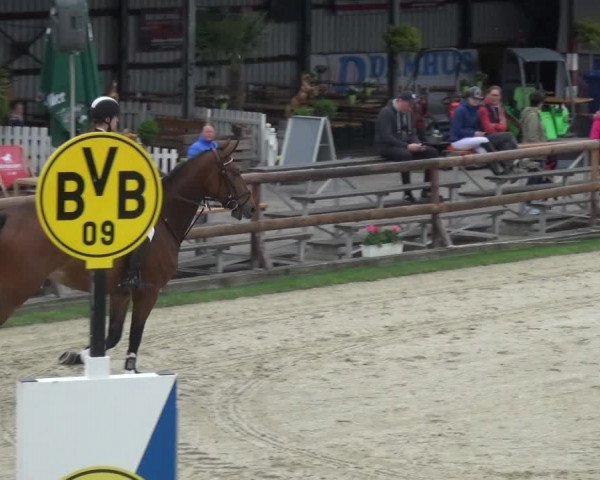 Reitturnier Kirchhellen/Stall Dieckmann 2019