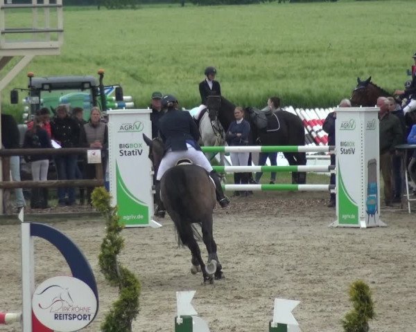 Reitturnier Kirchhellen/Stall Dieckmann 2019