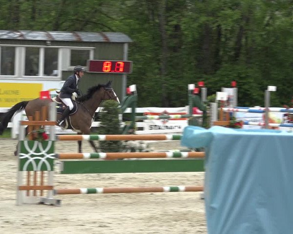 Reitturnier Isny-Rohrdorf 2019