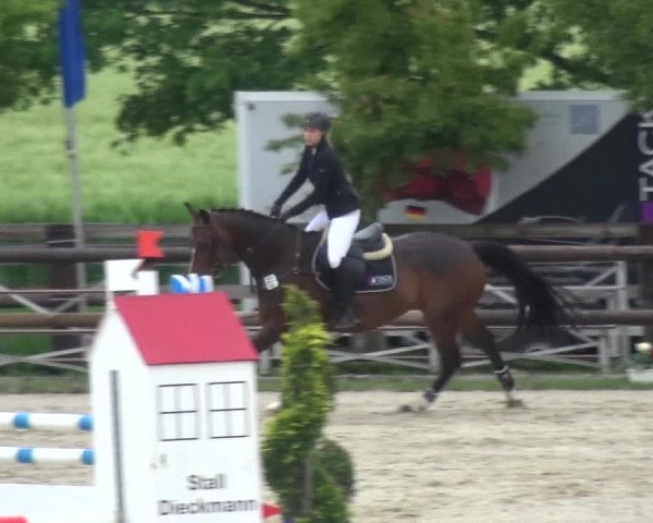 Reitturnier Kirchhellen/Stall Dieckmann 2019