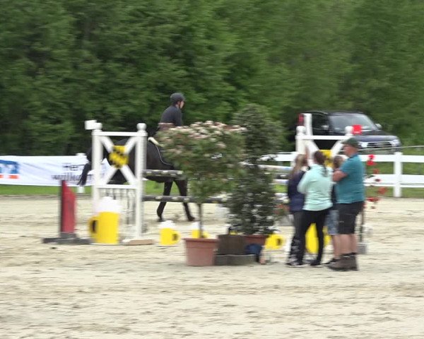 Reitturnier Isny-Rohrdorf 2019