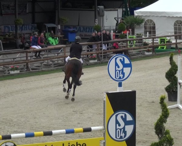 Reitturnier Kirchhellen/Stall Dieckmann 2019