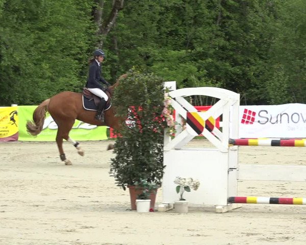 Reitturnier Isny-Rohrdorf 2019