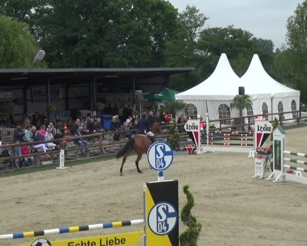 Reitturnier Kirchhellen/Stall Dieckmann 2019