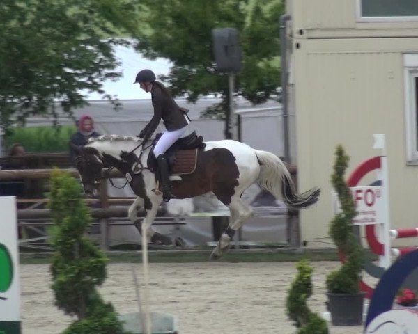 Reitturnier Kirchhellen/Stall Dieckmann 2019