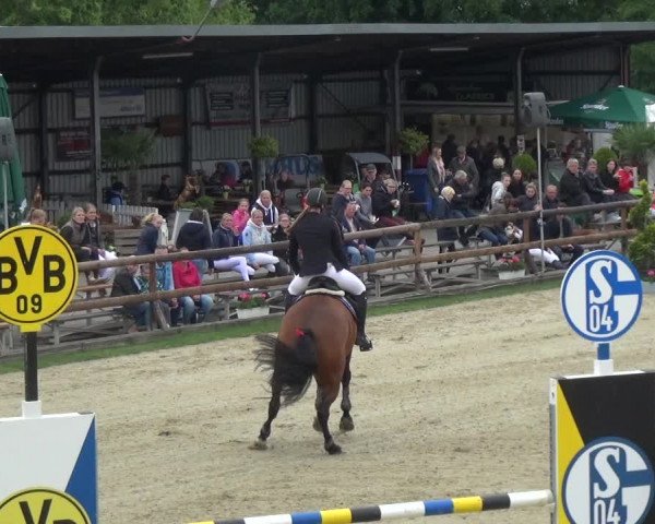 Reitturnier Kirchhellen/Stall Dieckmann 2019