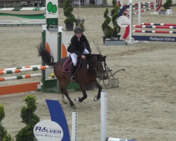 Reitturnier Kirchhellen/Stall Dieckmann 2019