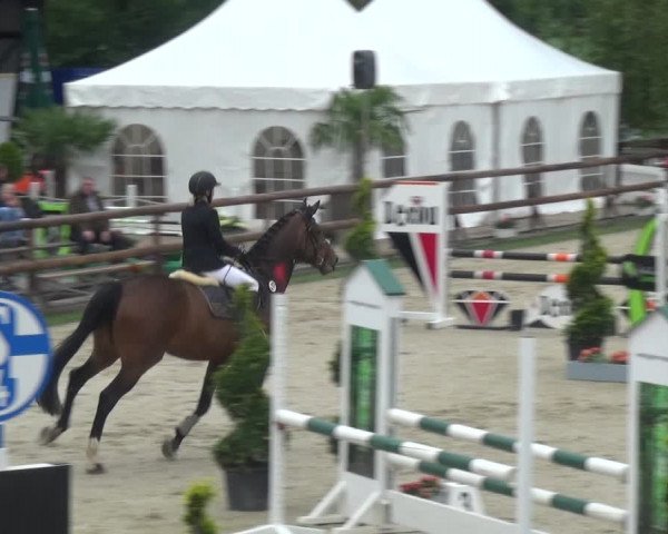 Reitturnier Kirchhellen/Stall Dieckmann 2019
