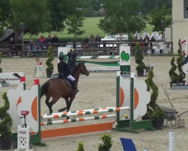 Reitturnier Kirchhellen/Stall Dieckmann 2019