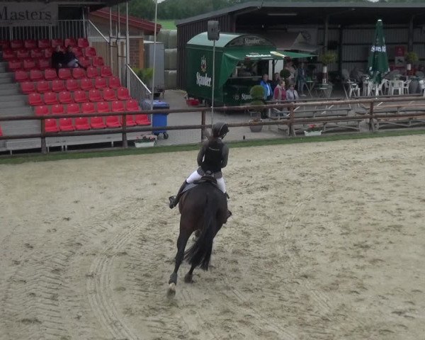 Reitturnier Kirchhellen/Stall Dieckmann 2019