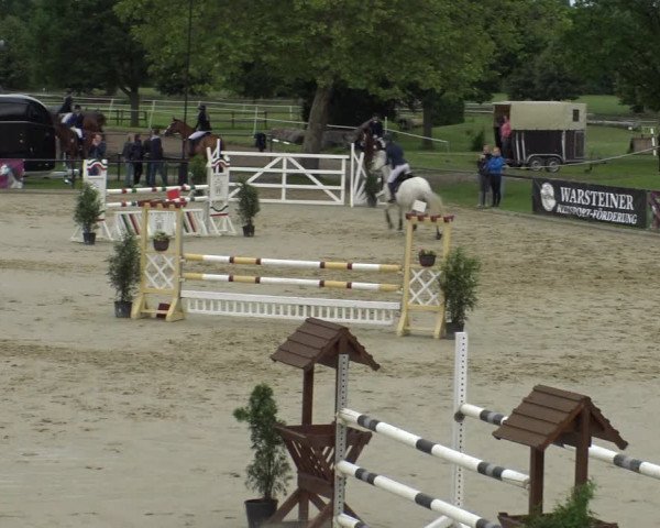 Reitturnier Hamm-Rhynern 2019