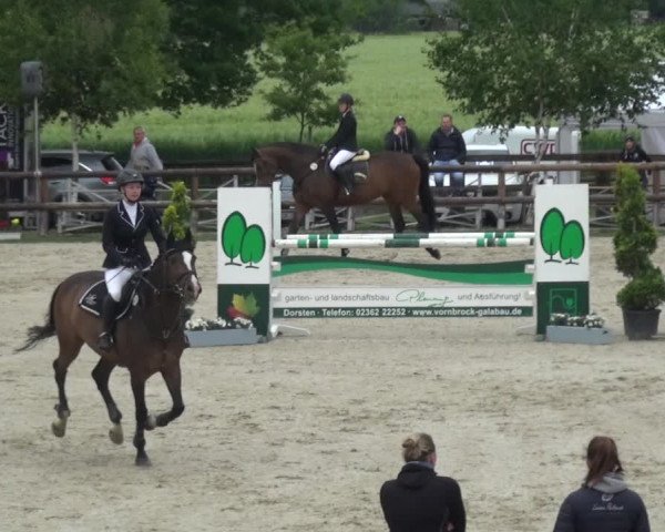 Reitturnier Kirchhellen/Stall Dieckmann 2019