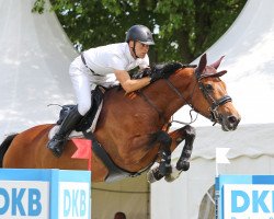 broodmare Jamaica Sun (Oldenburg show jumper, 2007, from Chacco-Blue)