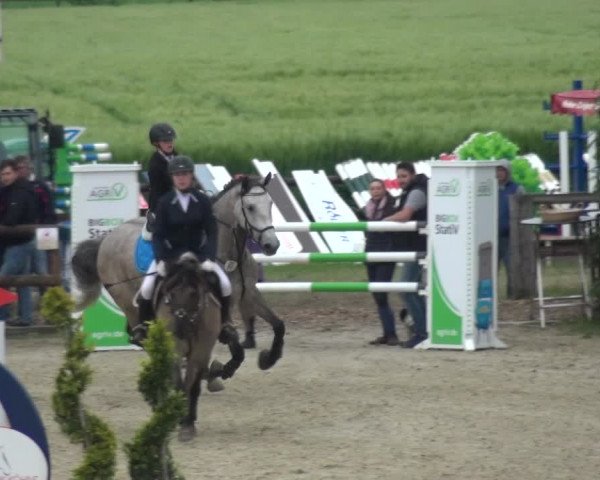 Reitturnier Kirchhellen/Stall Dieckmann 2019