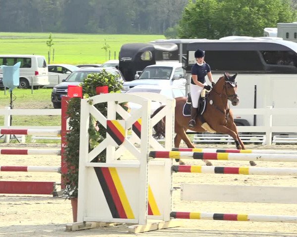 Reitturnier Isny-Rohrdorf 2019