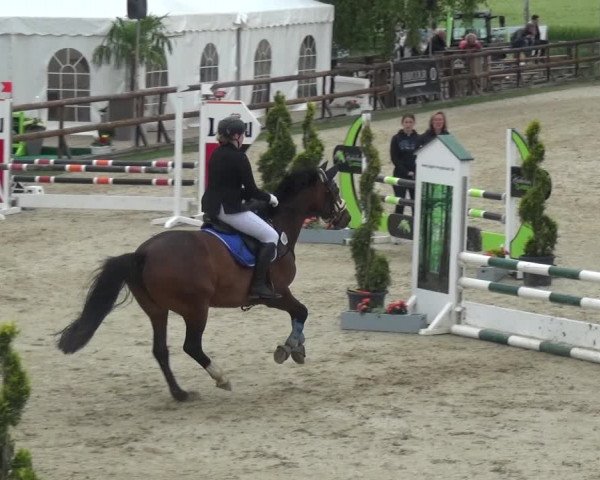 Reitturnier Kirchhellen/Stall Dieckmann 2019