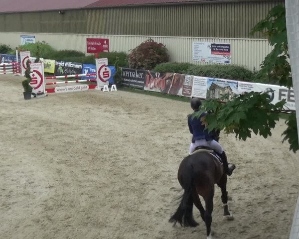 Reitturnier Kirchhellen/Stall Dieckmann 2019