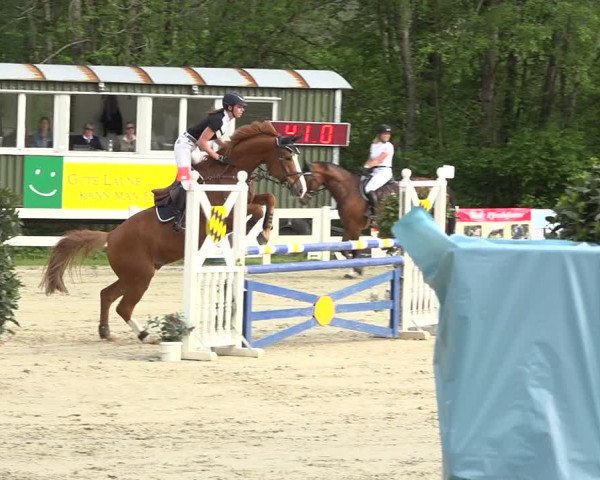 Reitturnier Isny-Rohrdorf 2019