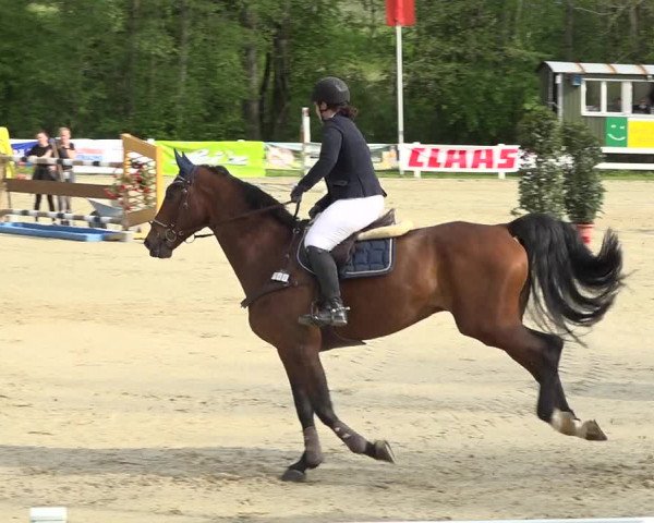 Reitturnier Isny-Rohrdorf 2019