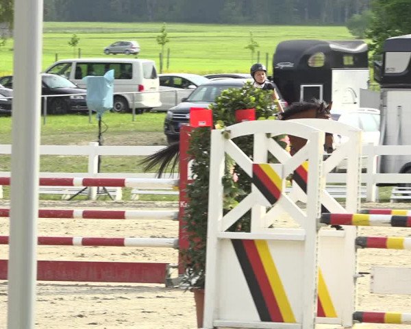 Reitturnier Isny-Rohrdorf 2019