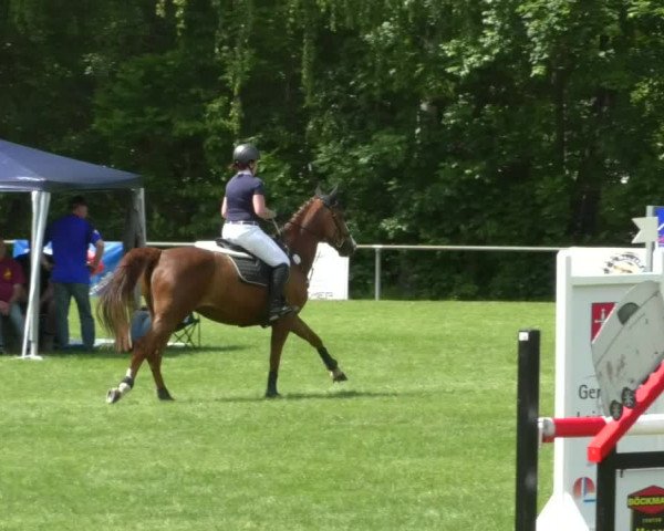 Reitturnier Leingarten 2019