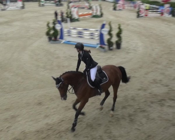 Reitturnier Kirchhellen/Stall Dieckmann 2019