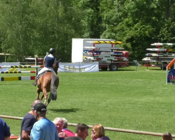 Reitturnier Leingarten 2019