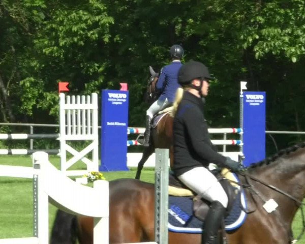 Reitturnier Leingarten 2019