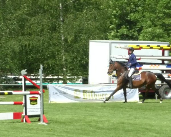 Reitturnier Leingarten 2019