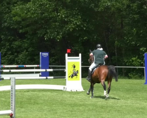 Reitturnier Leingarten 2019
