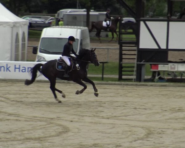 Reitturnier Hamm-Rhynern 2019