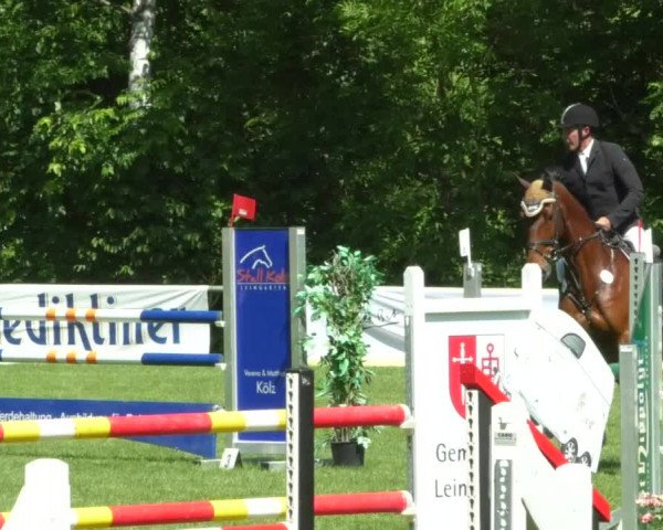 Reitturnier Leingarten 2019