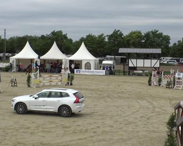 Reitturnier Hamm-Rhynern 2019