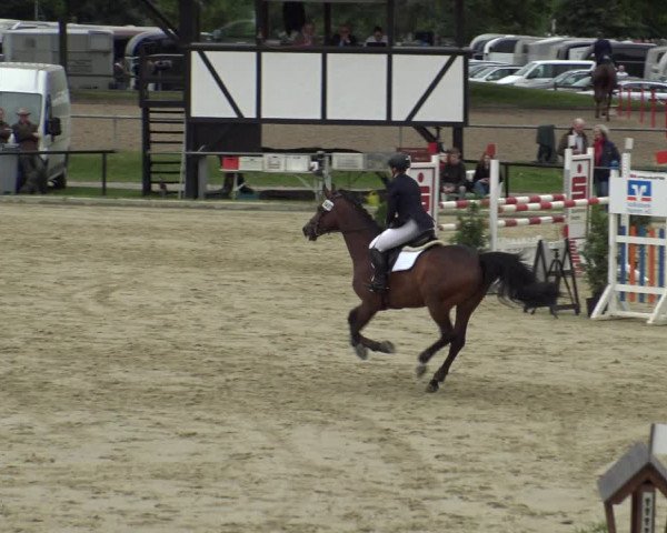 Reitturnier Hamm-Rhynern 2019