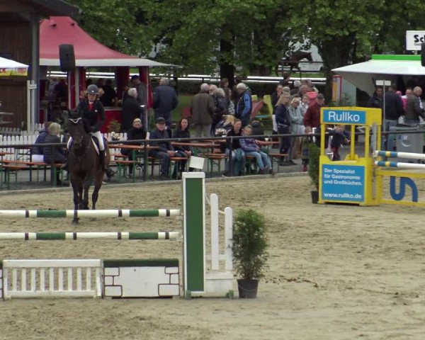 Reitturnier Hamm-Rhynern 2019