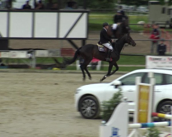 Reitturnier Hamm-Rhynern 2019