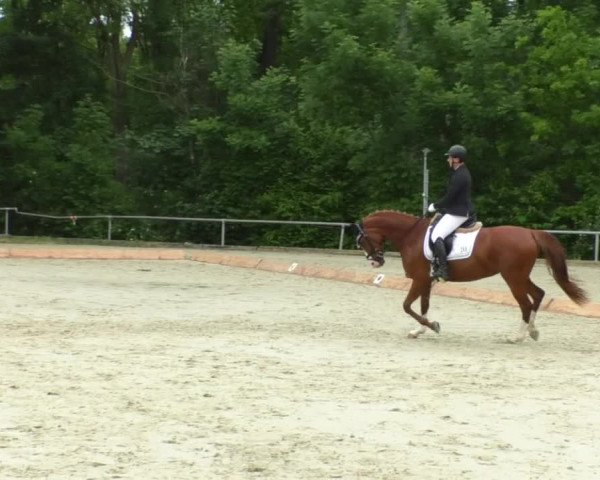 Reitturnier Leingarten 2019