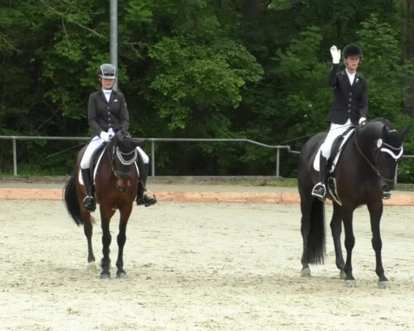Reitturnier Leingarten 2019