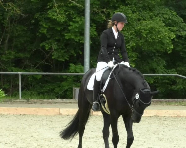Reitturnier Leingarten 2019