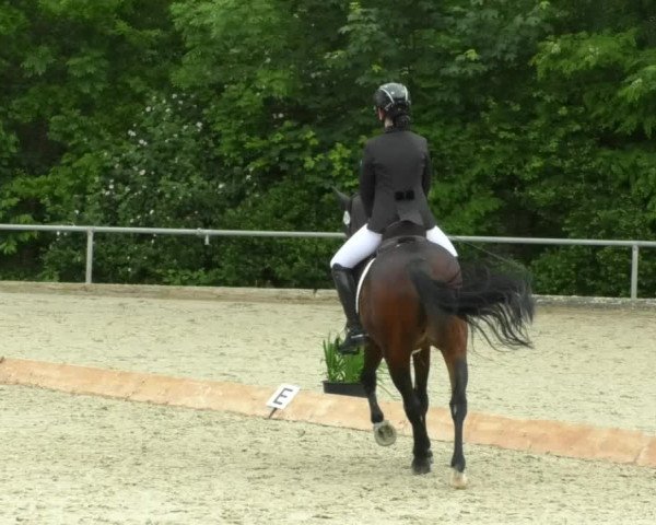 Reitturnier Leingarten 2019