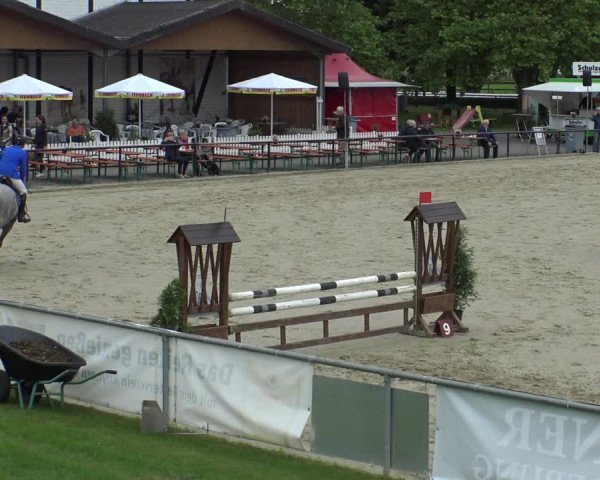 Reitturnier Hamm-Rhynern 2019