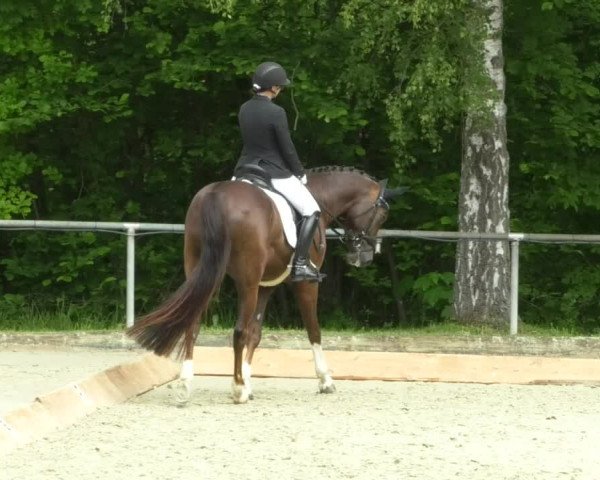 Reitturnier Leingarten 2019
