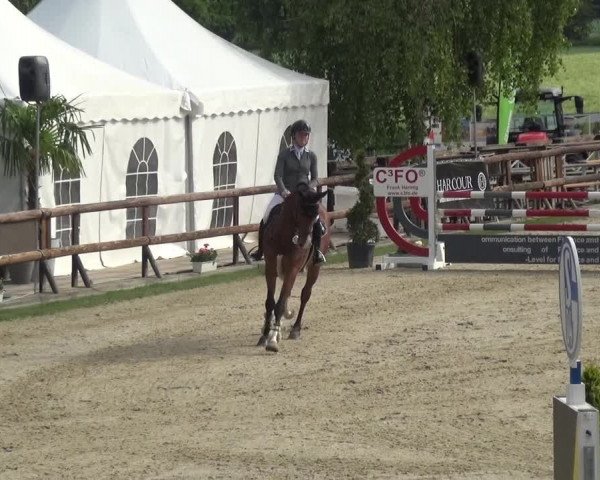 Reitturnier Kirchhellen/Stall Dieckmann 2019