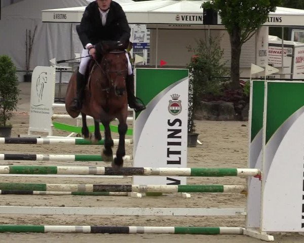 Reitturnier Hellefeld 2019